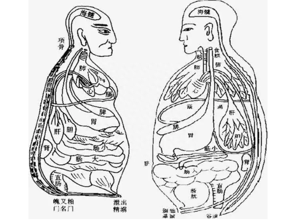 能合化_能化合物_能化合成