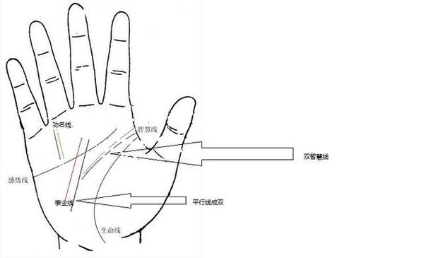 手相揭秘愛情命運玄機，這種男人最值得托付終身