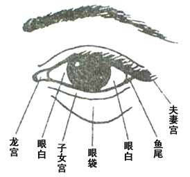 眼的面相怎麼看