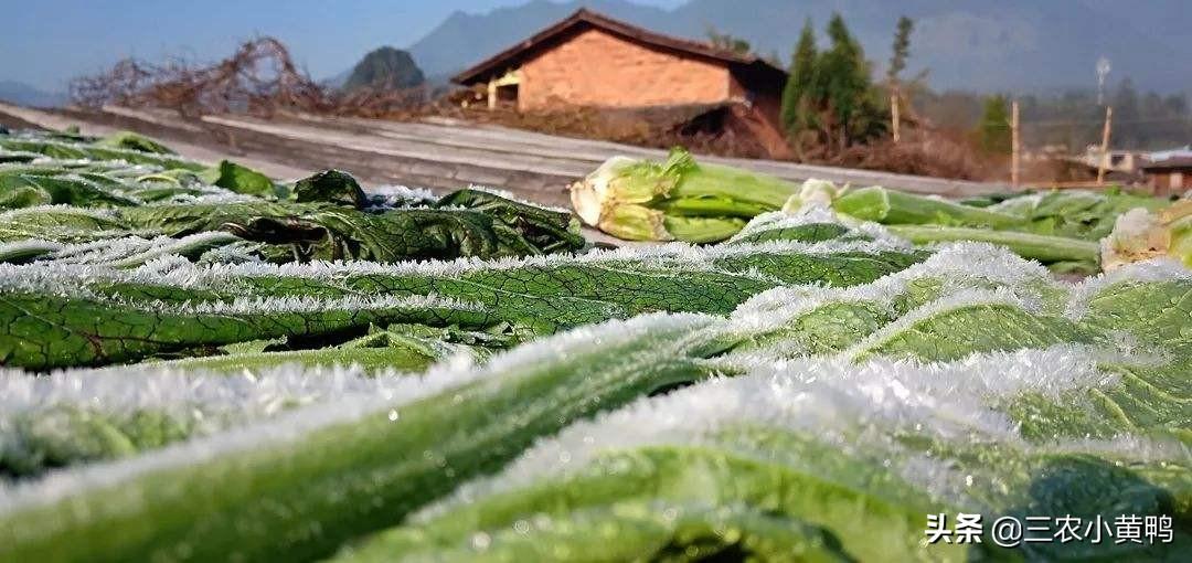 中國雨人為什麼叫雨人_九月初八問重陽打一生肖_重陽節下雨有什麼說法