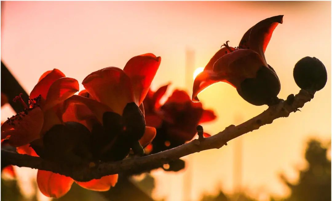 原來真愛就在身邊歌曲_紅鸞桃花_真愛就在我身邊