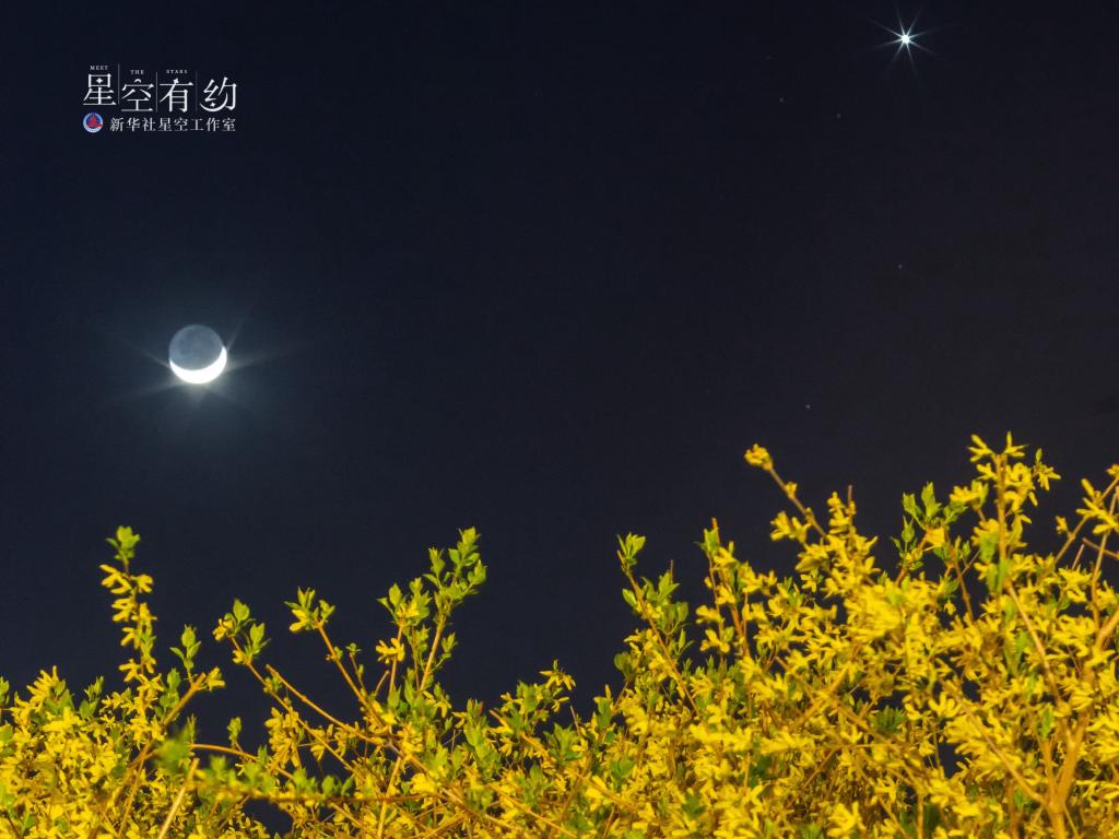 金星宇宙_土星合月_金星衝天王魅力