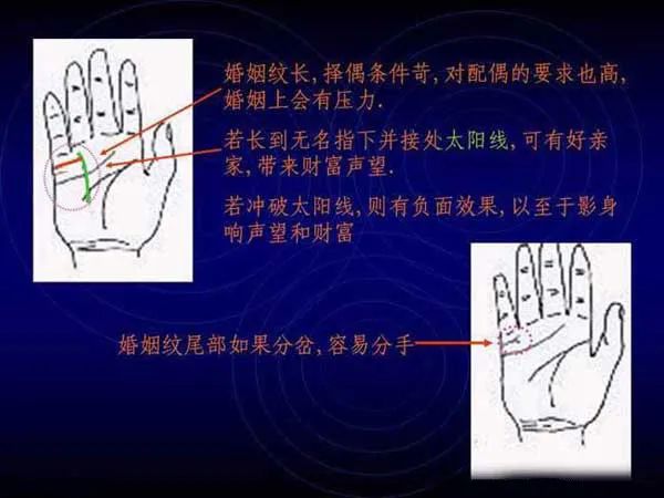 手相怎麼看圖_手相觀看_手掌看相算命圖解