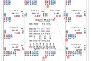 紫微鬥數華蓋 紫微鬥數華蓋是什麼意思