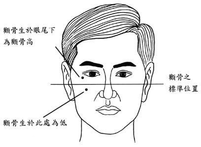 面相顴骨高的男人_顴骨高的面相_面相顴骨高女人