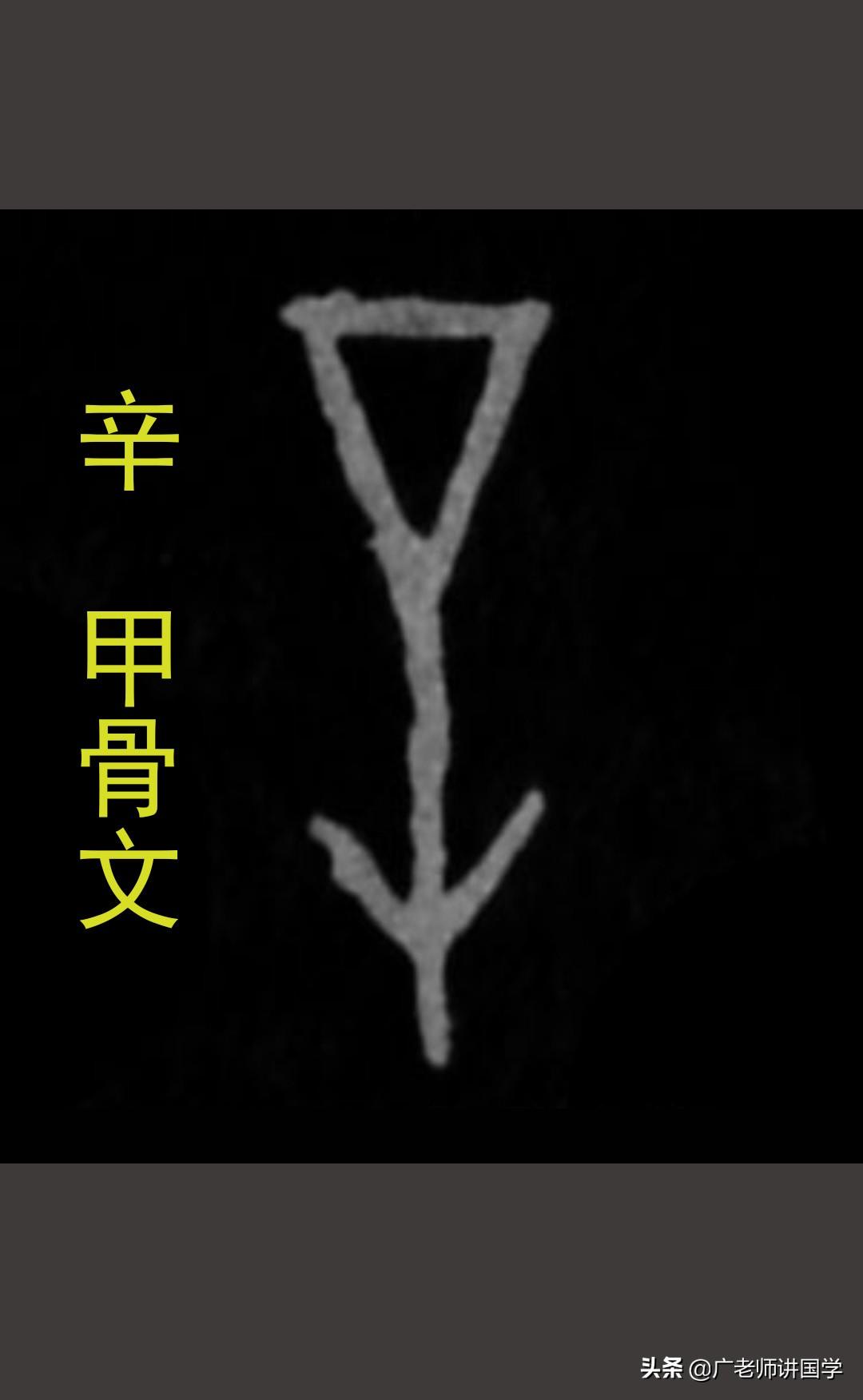 莘字白話讀音什麼_莘字什麼意思_帶莘字