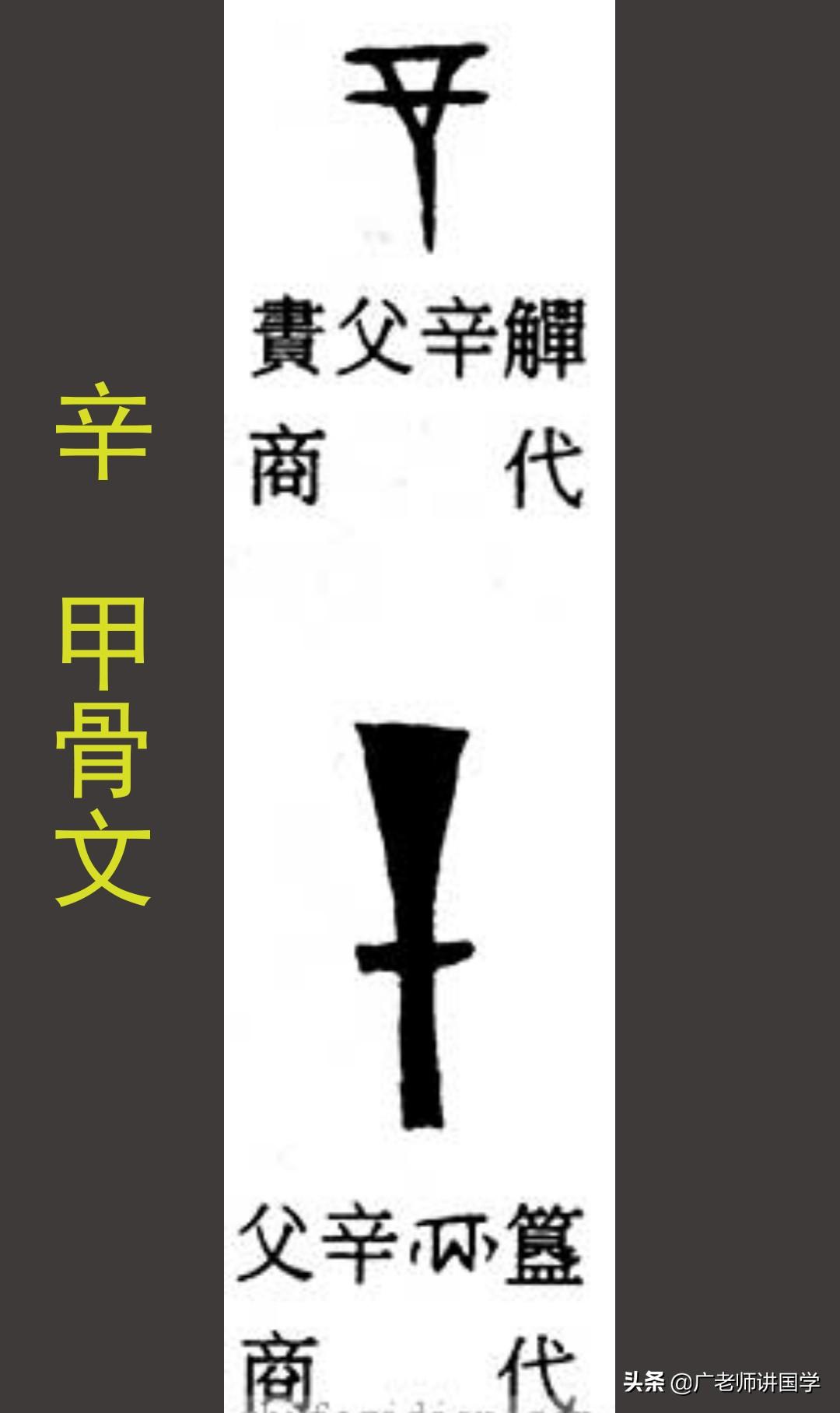 帶莘字_莘字白話讀音什麼_莘字什麼意思