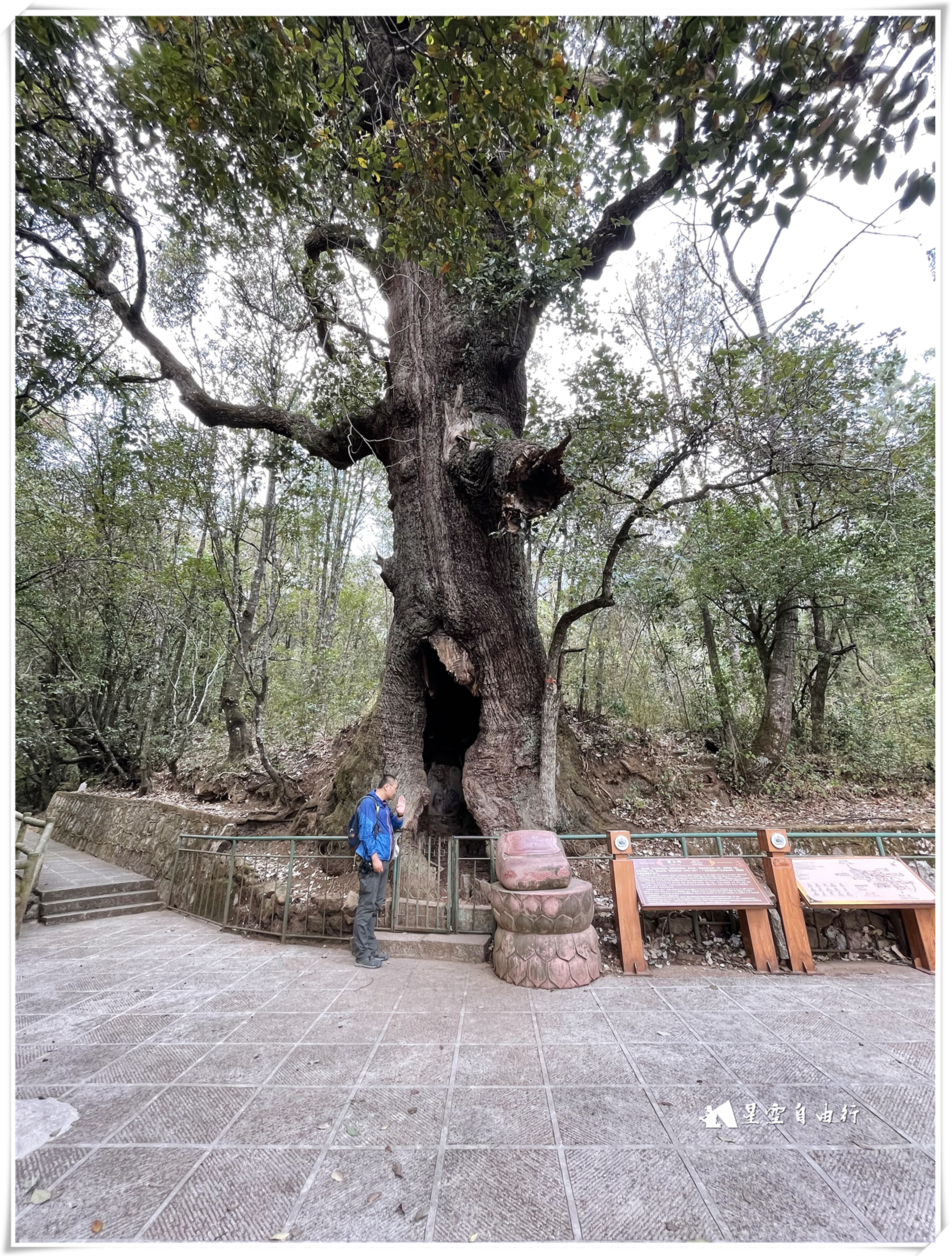 雞足山簽解簽大全_大理雞足山解簽大全_昆明大理賓川雞足山