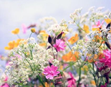 怎樣找自己的桃花位