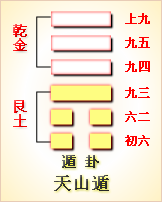 雷大壯天元烏龜擇時_雷天大壯_雷大壯天元烏兔九星擇時視頻