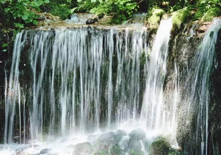 土醜星麻_醜土_土醜變身記