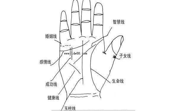 手相圖解大全中關於財運線的解析，從手相中的財運線看一個人命運