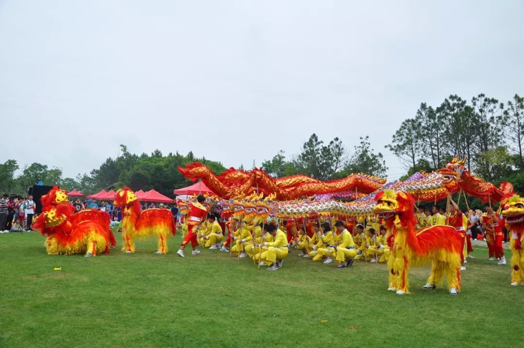 龍文化_龍山文化_龍文化博物館