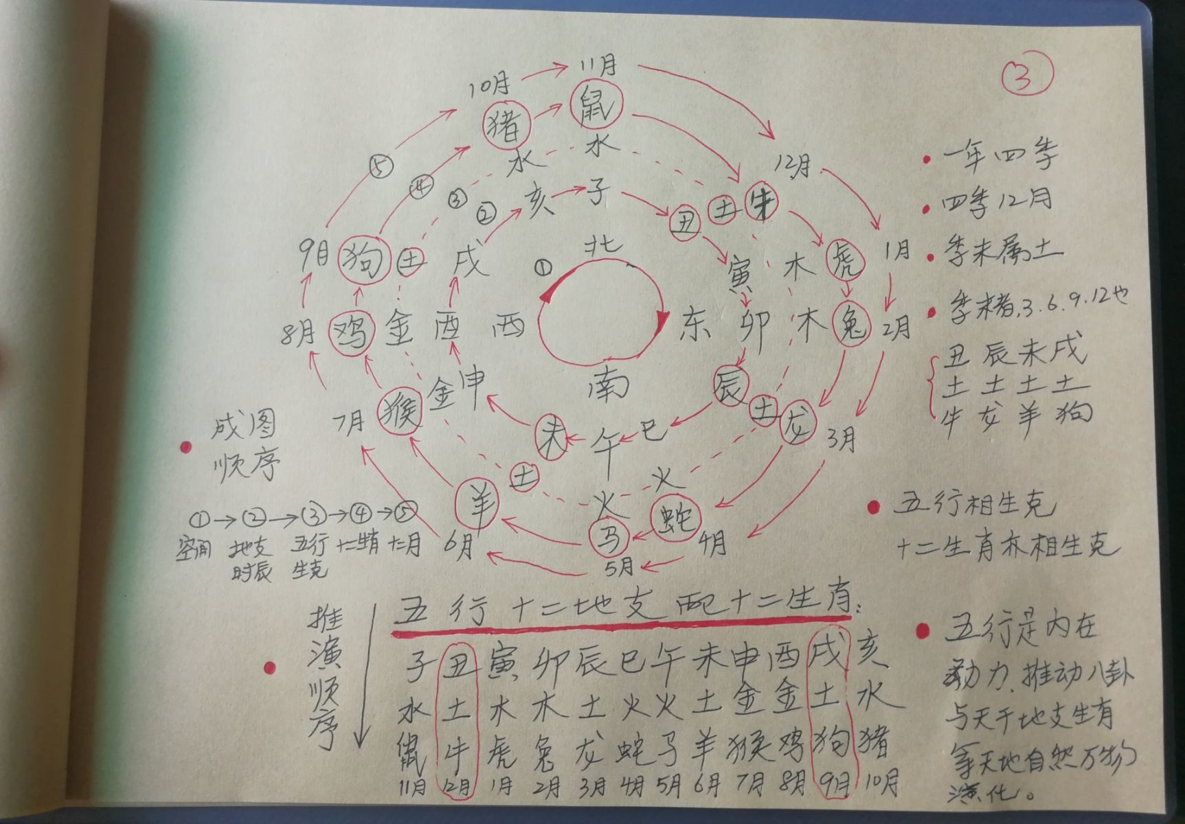 論八字中的天幹地支