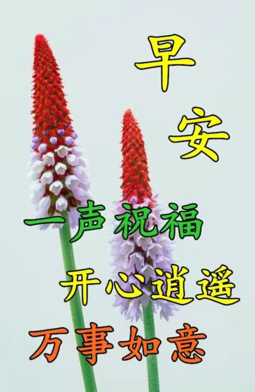 3月14日是不是警察節_1月6日是俄羅斯什麼節_幾月幾日是父親節