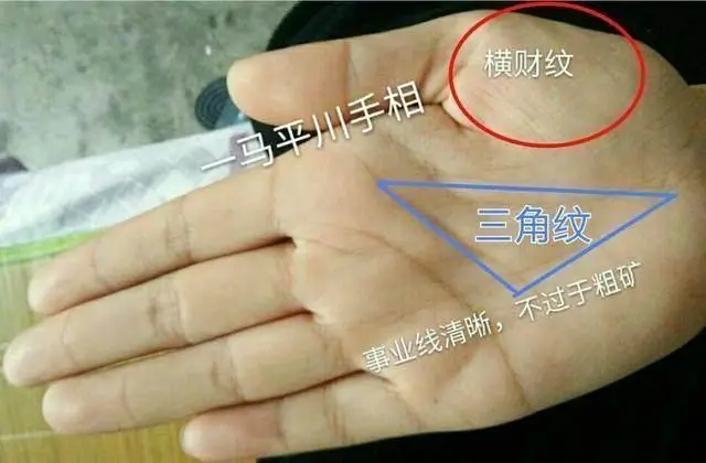 手相婚姻線怎麼看