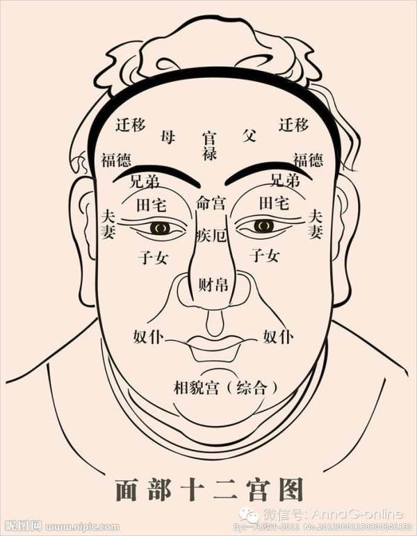 面相鼻子大_鼻子像豬鼻子的女人面相_鼻子長痣面相圖