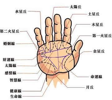 什麼樣的手相是富貴手相_曾經相信好手相是什麼生肖_不要相信手相