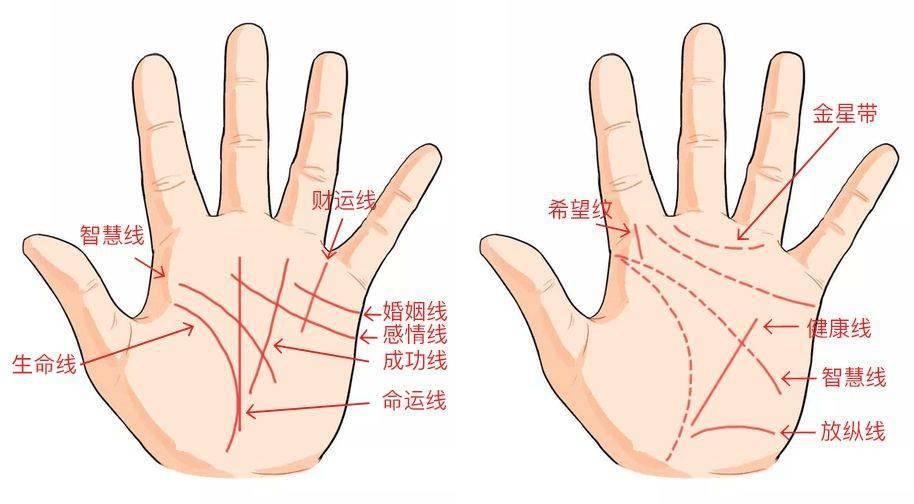 手相圖解大全男左手, 生命線細頭腦聰明