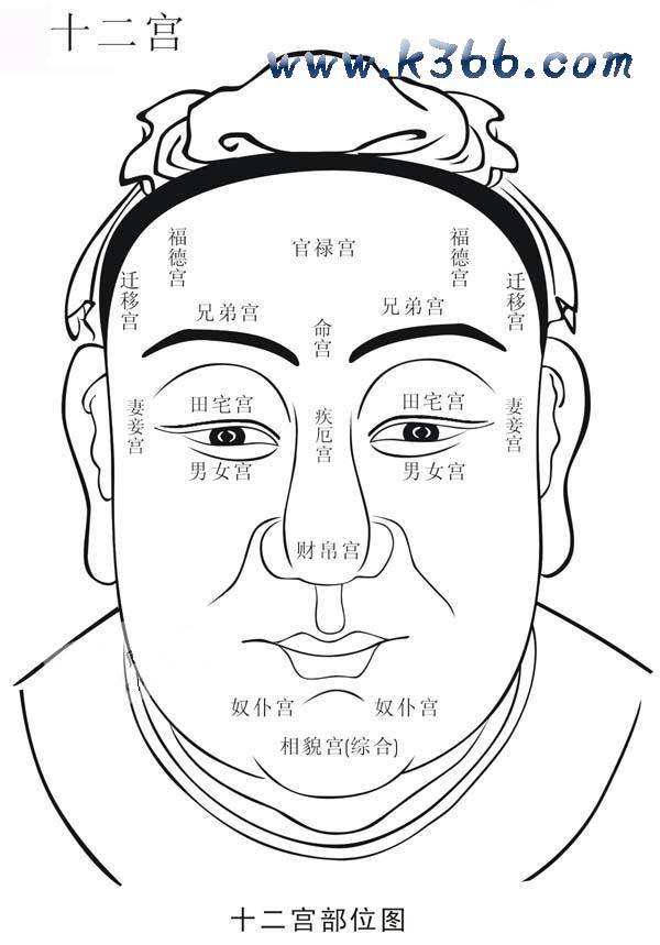 10指在手相中分別代表什麼，看此文就懂了