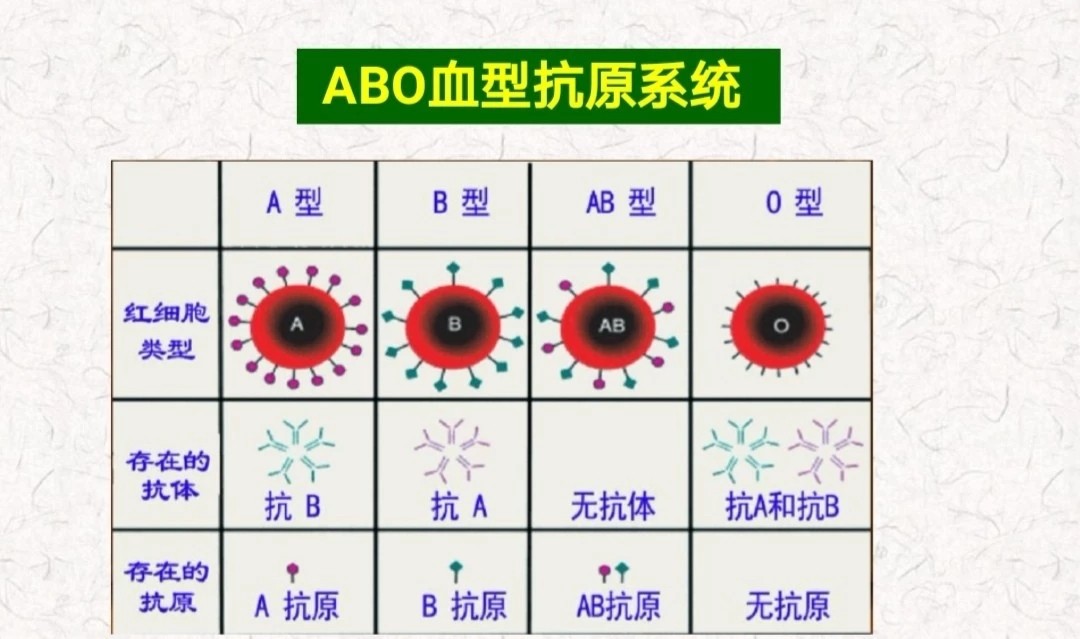 四種血型性格特征_血型性格_ab血型水瓶座女生性格