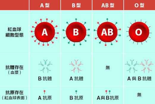 ab血型水瓶座女生性格_血型性格_四種血型性格特征