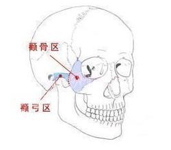 顴骨在哪裏_顴骨高的男人面相_顴骨高的女人面相