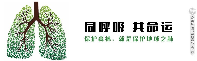 潮汕伯公生拜豬腳風俗