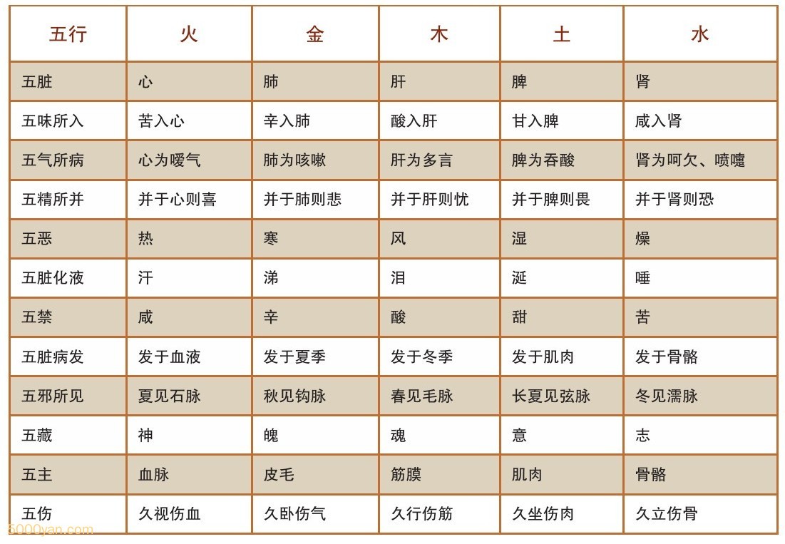 五行相生_五行屬木和什麼相生_五行命相生