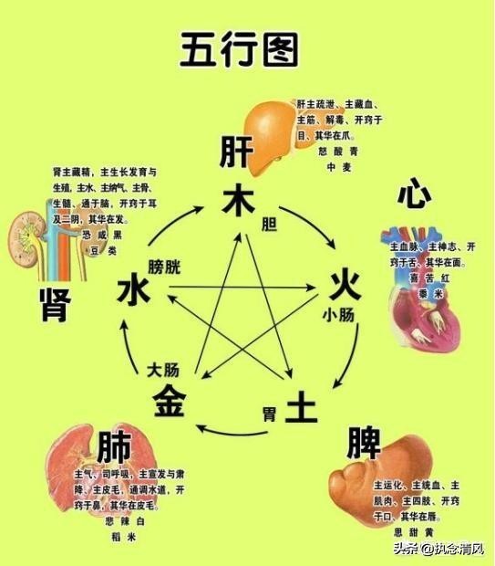 中醫的五行學說