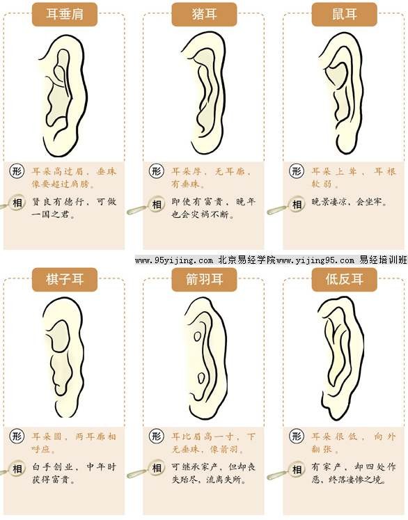 耳朵長痣面相圖_耳朵外面長了個硬包圖_耳朵上長了個肉疙瘩圖