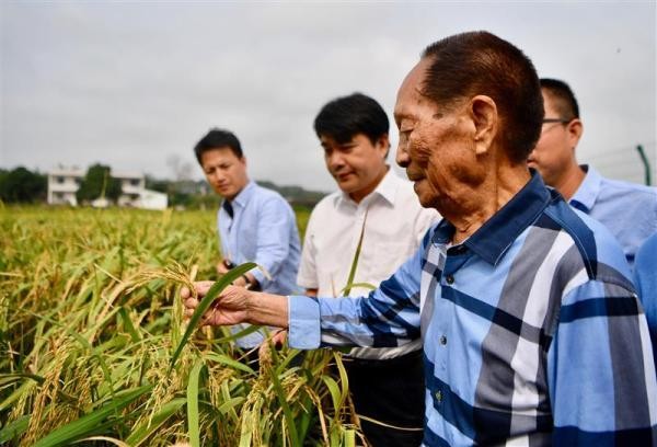 袁隆平說：夢見禾下乘涼，是我最幸福的時候