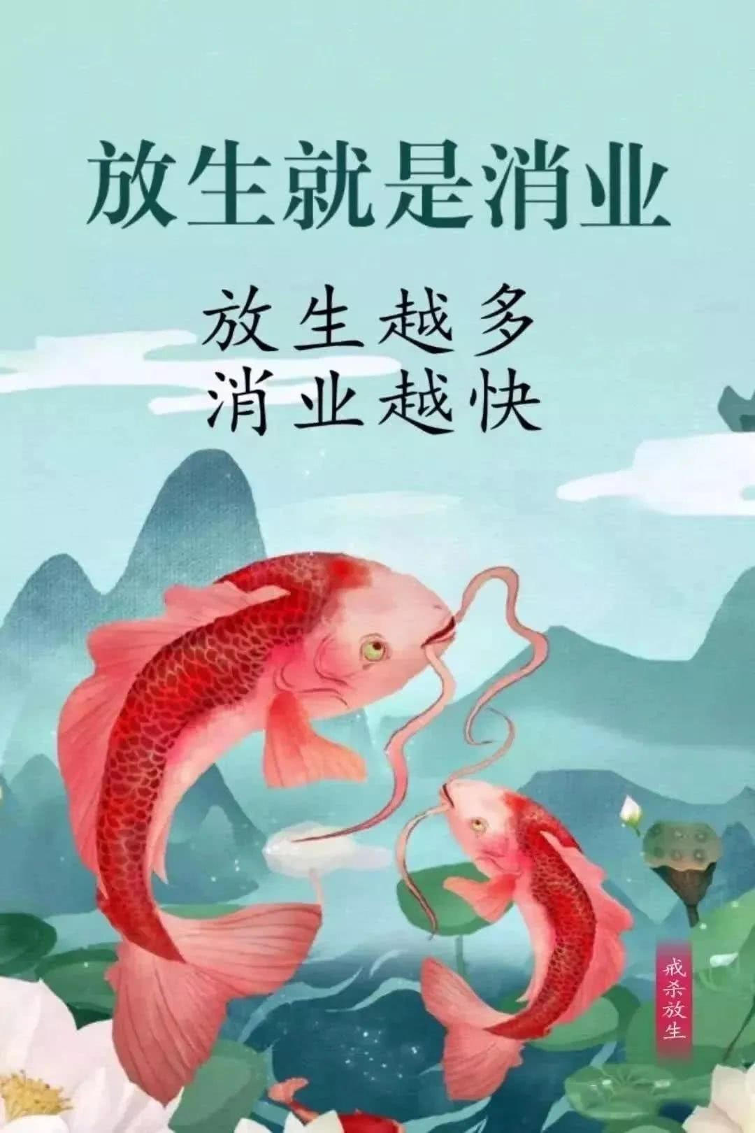 放生好處_放生黑魚好處_放生的好處