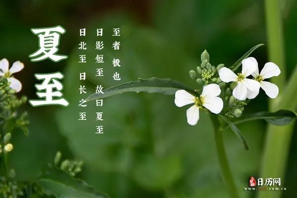 “夏至三庚數頭伏”，今年什麼時候開始入伏？什麼時候最熱？