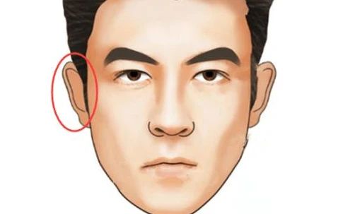 顴骨高的男人面相_男人顴骨寬+面相_男人顴骨高面相圖解