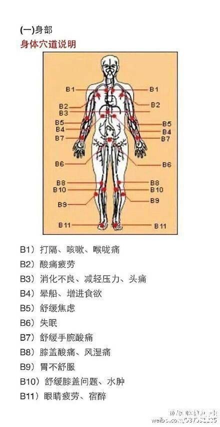 五行健康體操高清視頻下載_五行與健康_五行健康體操mp4