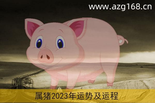 生肖豬2023全年運勢解析各方面都不錯但需註