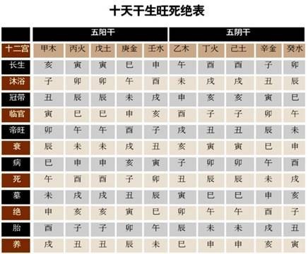 金輿_金輿車友論壇_鳳凰鸞鳥燦金輿