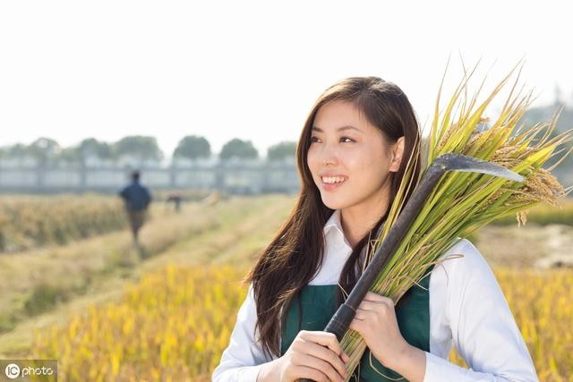 民間習俗丨生辰八字算姻緣從何而來？十二生肖如何定姻緣？