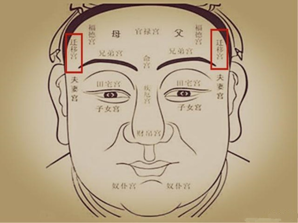 紫微拱照_楊紫微博曬豐滿照_孕29周胎動拱來拱去