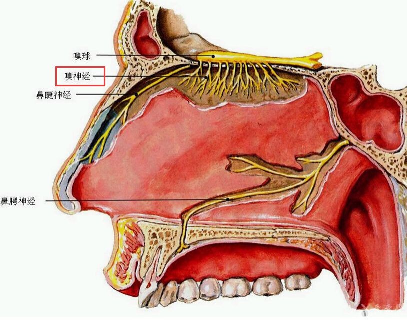 學習報-心地清凈方為道,退步原來是向前_六根清凈_心地清凈方為道,退步原來是向前