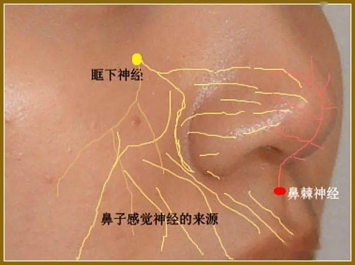 學習報-心地清凈方為道,退步原來是向前_六根清凈_心地清凈方為道,退步原來是向前