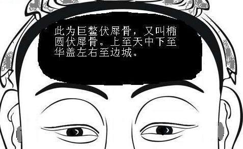 伏羲伏羲菊豆在線閱讀_伏羲伏羲小說免費閱讀_伏羲的長相