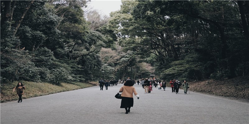 屬虎和屬狗的相配嗎