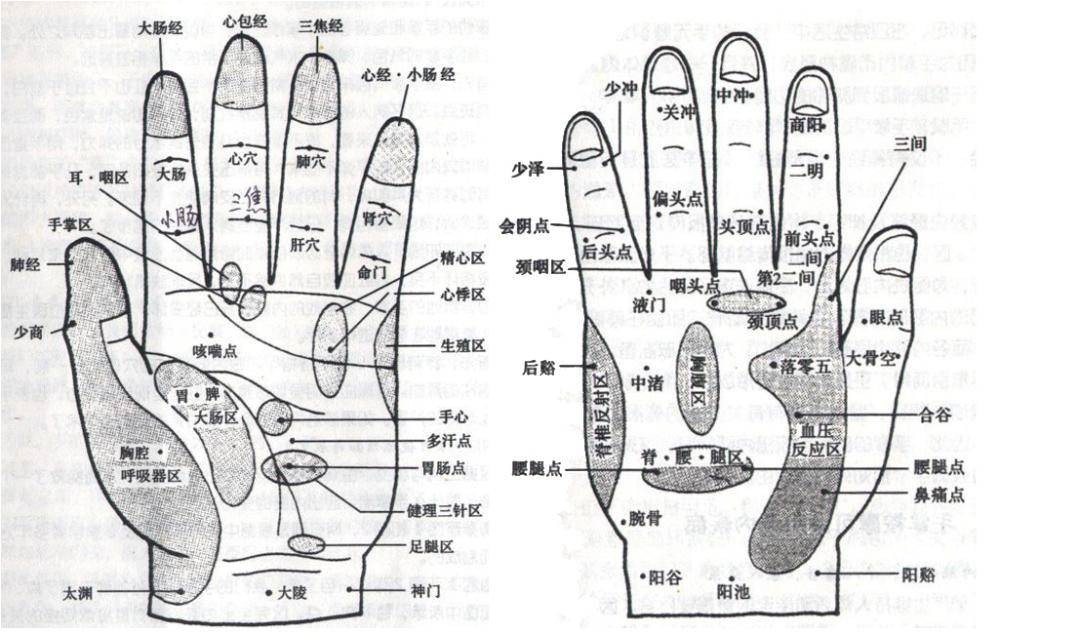 女人手掌厚代表著什麼 女人手掌厚而有力有彈性預示有福氣