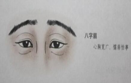 倒八字眉,倒八字眉男人能嫁嗎