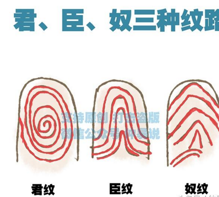 圖解指紋：藝紋、君紋、臣紋、民紋、奴紋,看你是君是臣還是奴？