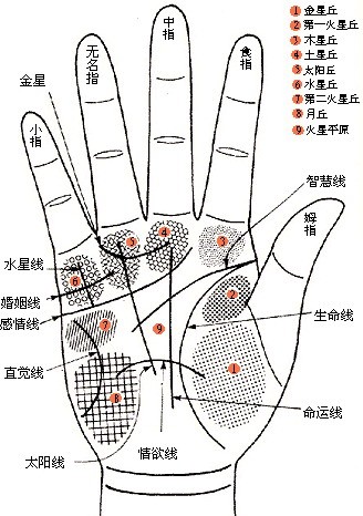 壞男孩看女人手相視頻_女人手相生命線看右手_怎樣看手相