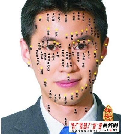 m型額頭的男人面相