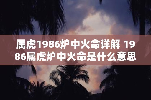 屬虎1986爐中火命詳解 1986屬虎爐中火命是什麼意思